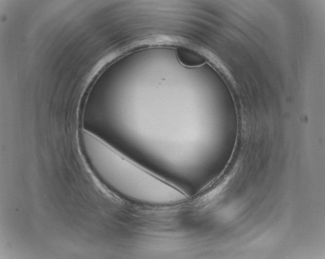 X0000073860845200608101026