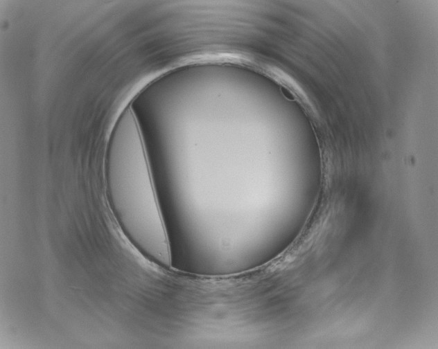 X0000073860852200608101026