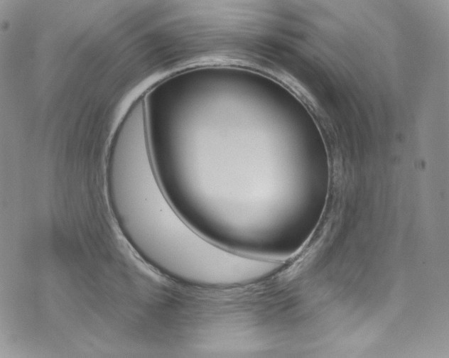 X0000073860854200608101026