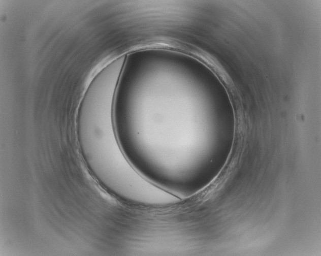 X0000073860858200608101026