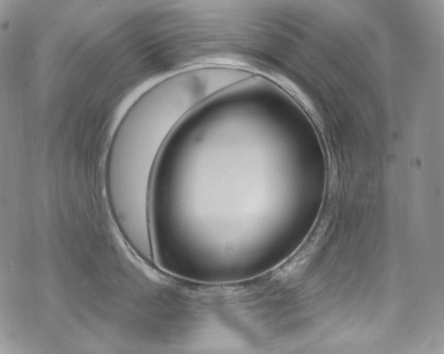 X0000073860862200608101026