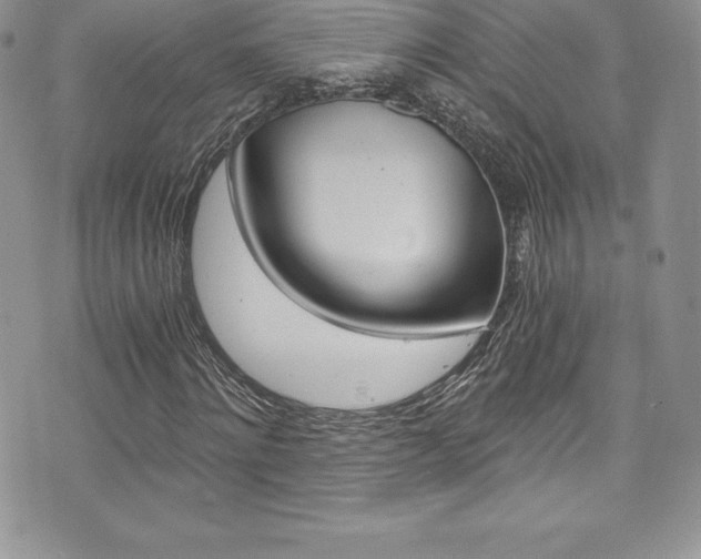 X0000073860868200608101025