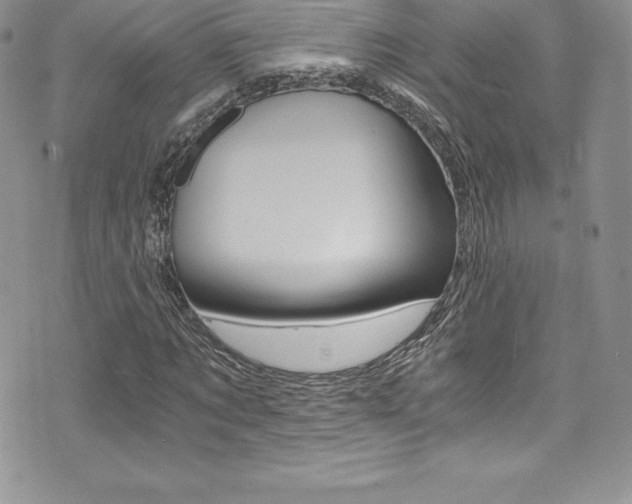 X0000073860869200608101025