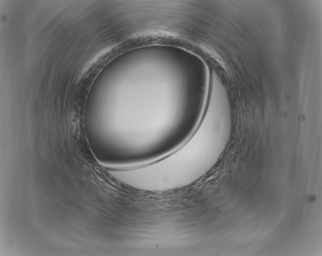 X0000073860872200608101025