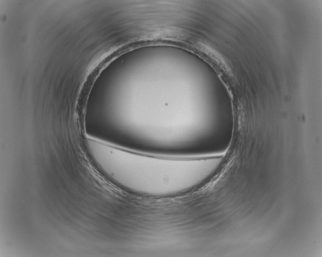 X0000073860876200608101025