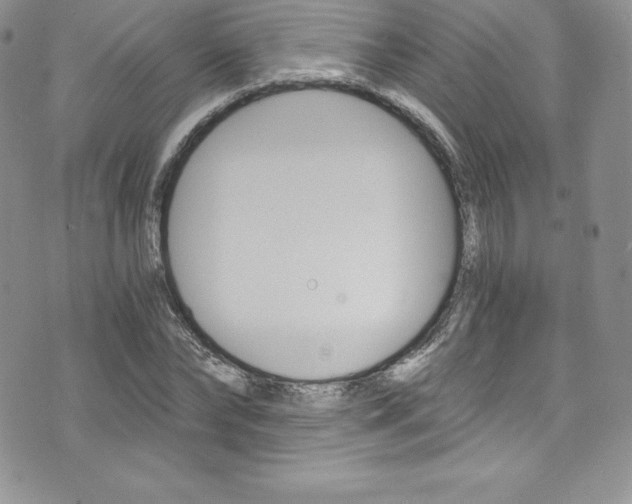 X0000073860878200608101025