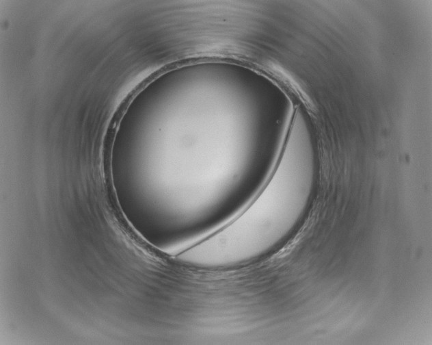 X0000073860884200608101025