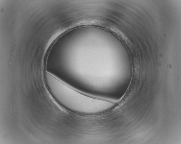 X0000073860894200608101025