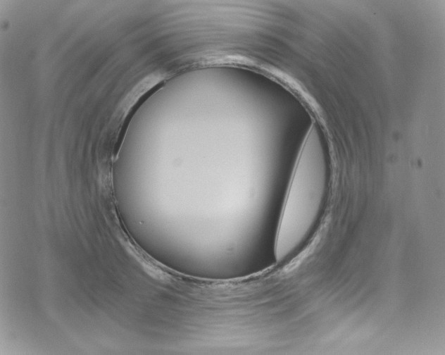 X0000073860897200608101025