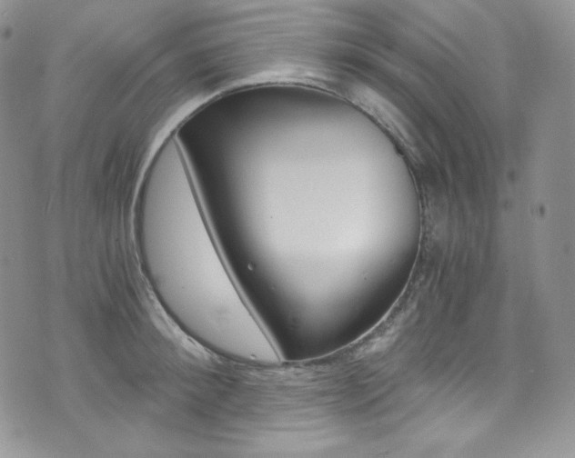 X0000073860900200608101025