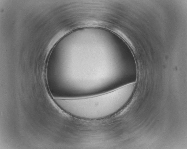 X0000073860901200608101025