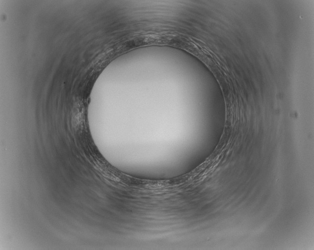 X0000073860914200608101024