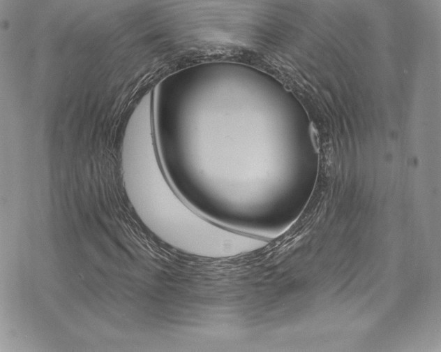 X0000073860916200608101024