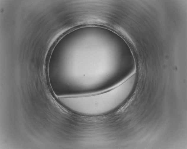 X0000073860932200608101024