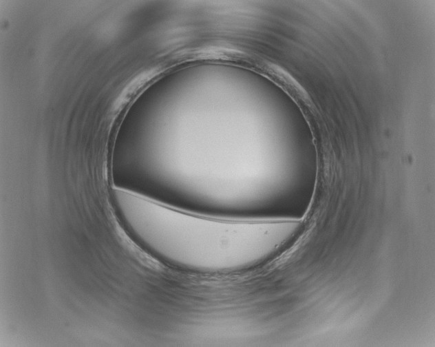 X0000073860938200608101024
