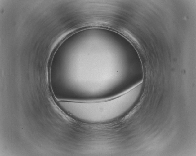 X0000073860940200608101024