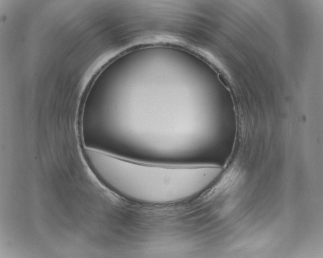 X0000073860943200608101024