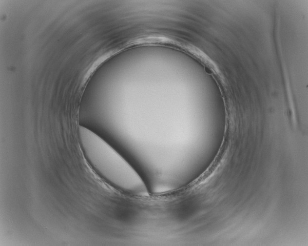 X0000073860945200608101024