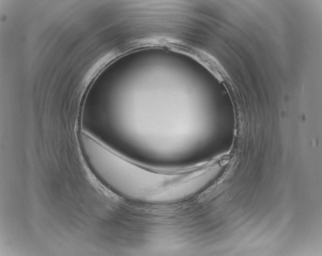 X0000073860946200608101024