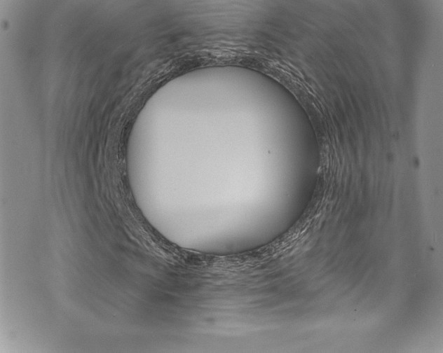 X0000073861009200608101022