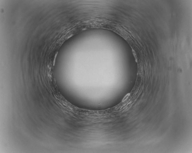 X0000073861010200608101022