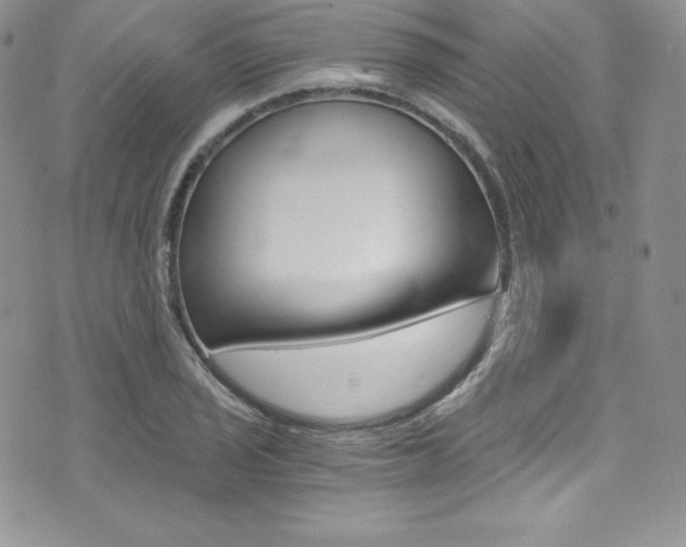 X0000073861029200608101022