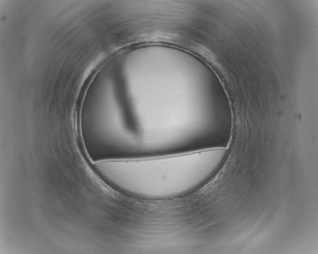 X0000073861032200608101022