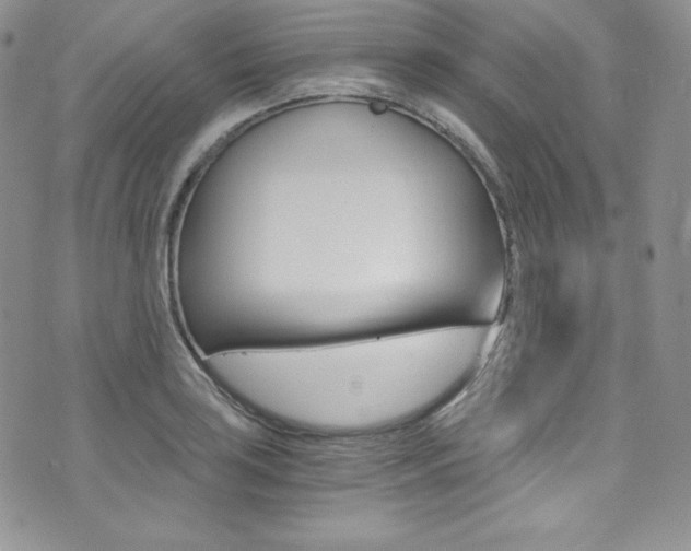 X0000073861035200608101022