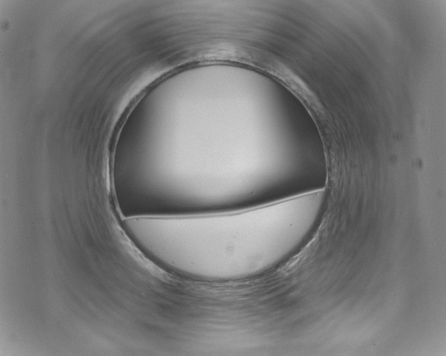 X0000073861036200608101022
