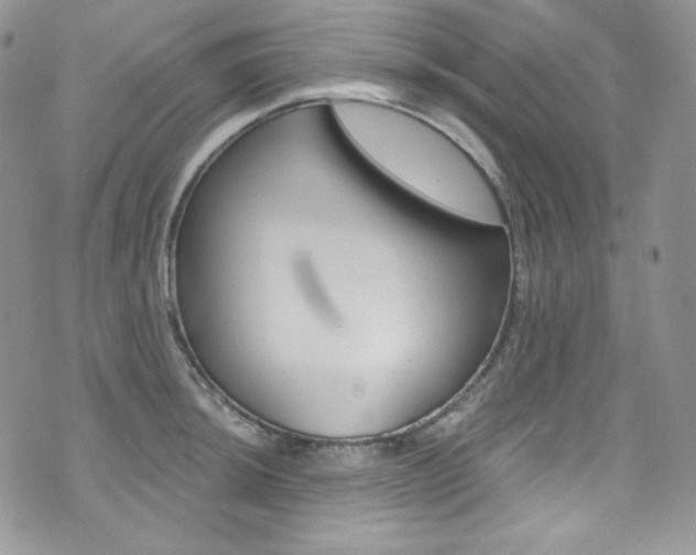 X0000073861044200608101023
