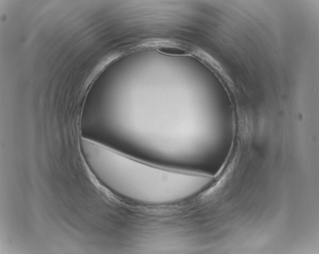 X0000073861049200608101023