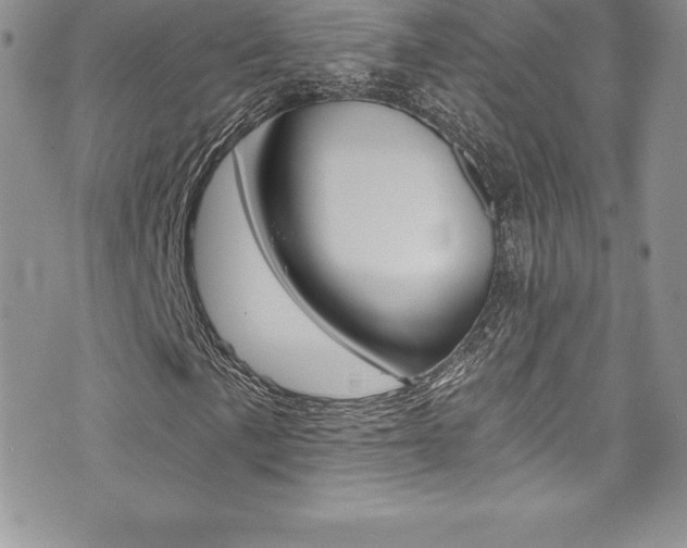 X0000073861057200608101022