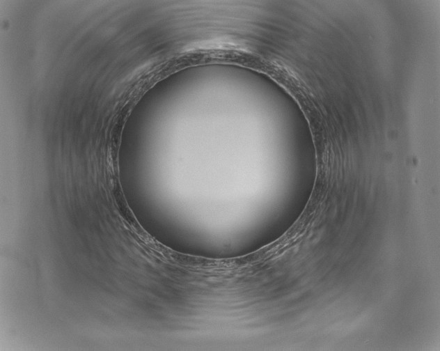 X0000073861062200608101022