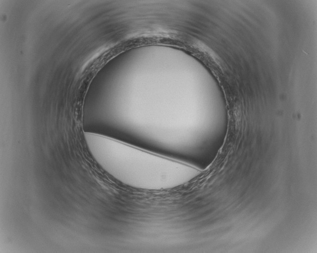 X0000073861064200608101022