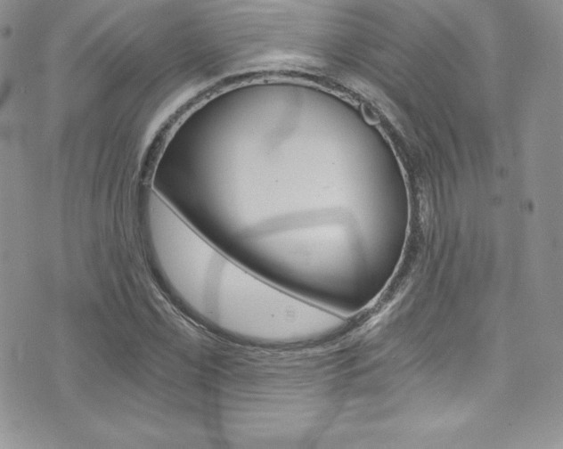 X0000073861069200608101022