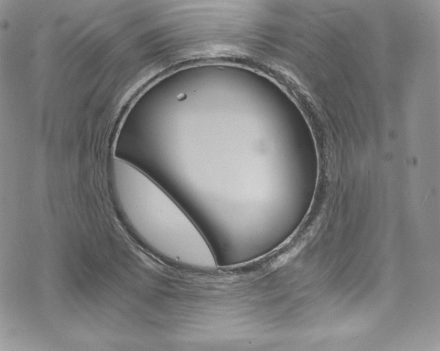 X0000073861073200608101022