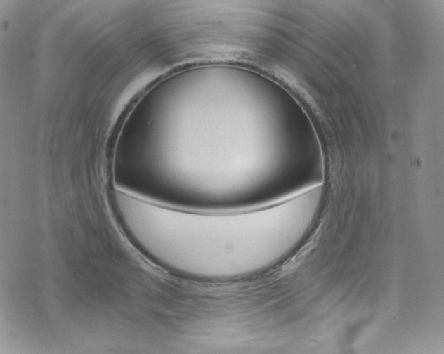 X0000073861085200608101021