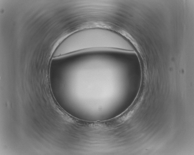X0000073861089200608101021