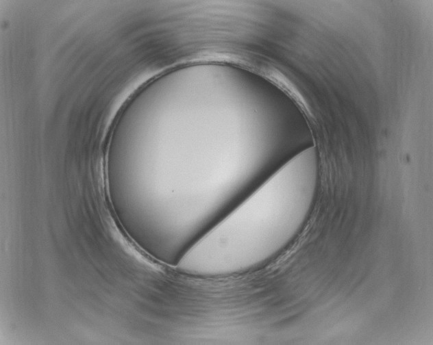 X0000073861092200608101021