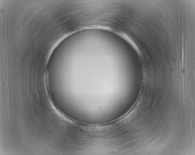 X0000073861100200608101021