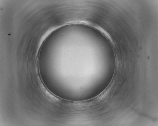 X0000073861102200608101021