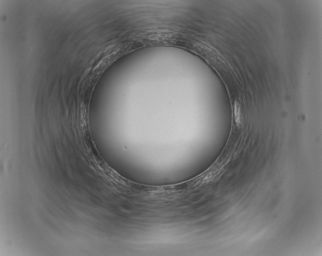 X0000073861107200608101020