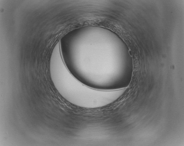 X0000073861109200608101020