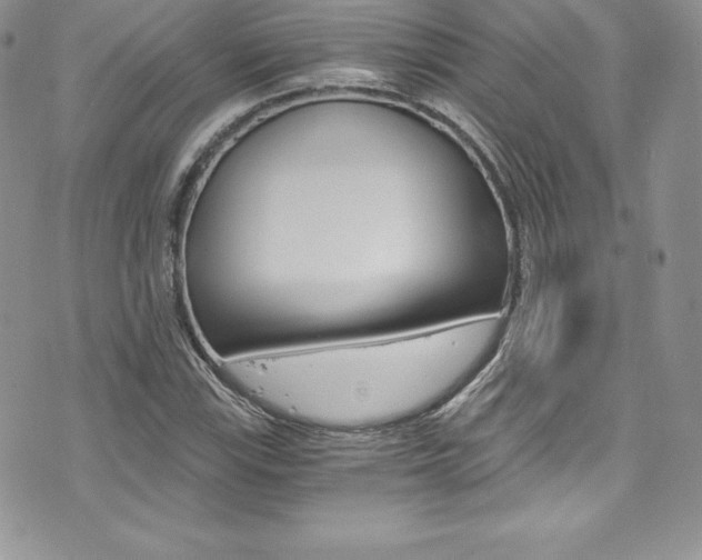 X0000073861115200608101021