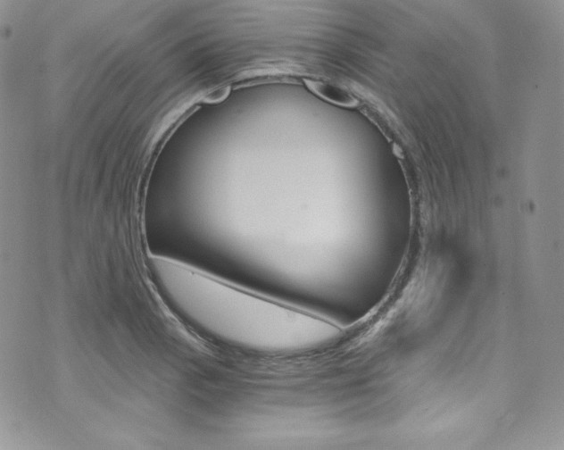 X0000073861129200608101021