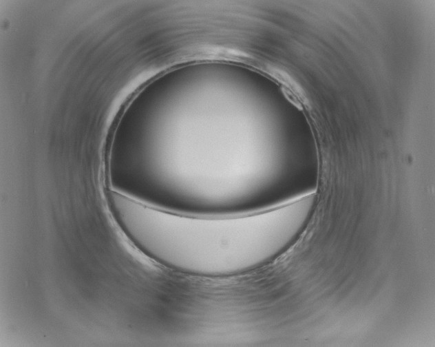 X0000073861136200608101021