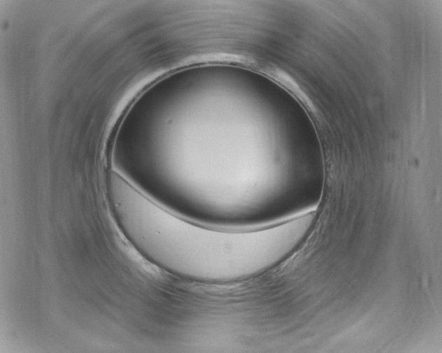 X0000073861140200608101021