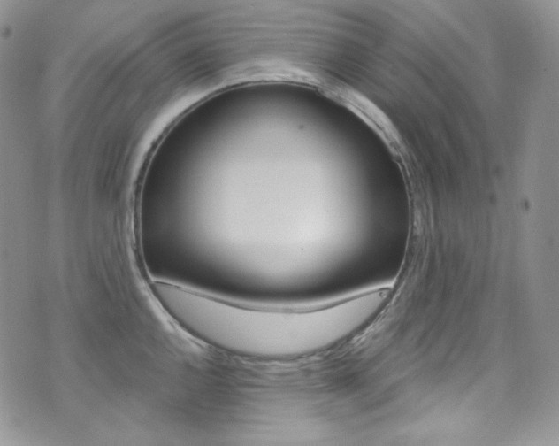 X0000073861144200608101021