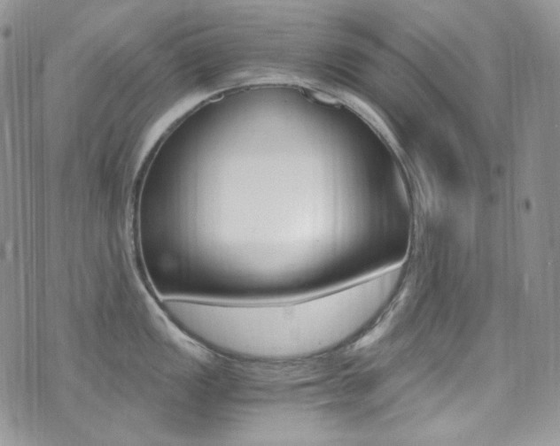 X0000073861149200608101021