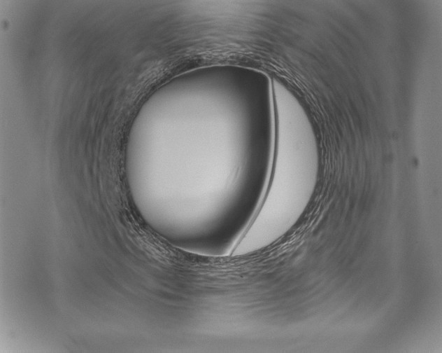 X0000073861153200608101020